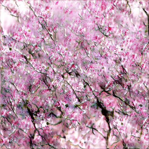nero cosmos ©2021 cherry blossom